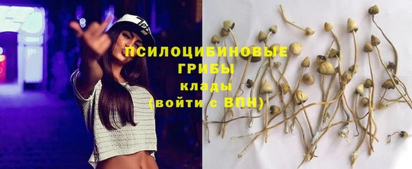 прущая мука Алзамай